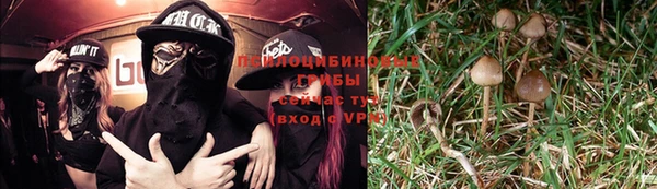амф Заволжск