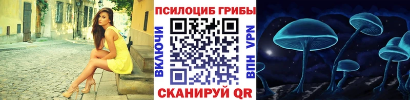 Галлюциногенные грибы Cubensis  блэк спрут ТОР  Камбарка 
